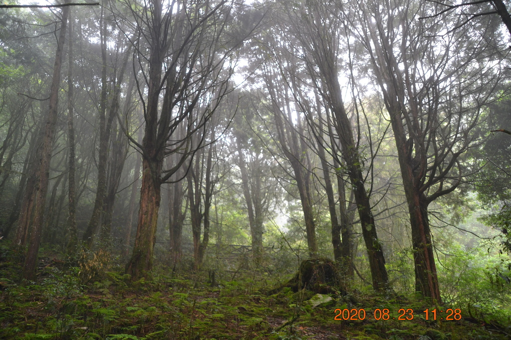 DSC_0096.JPG DSC_0096.JPG