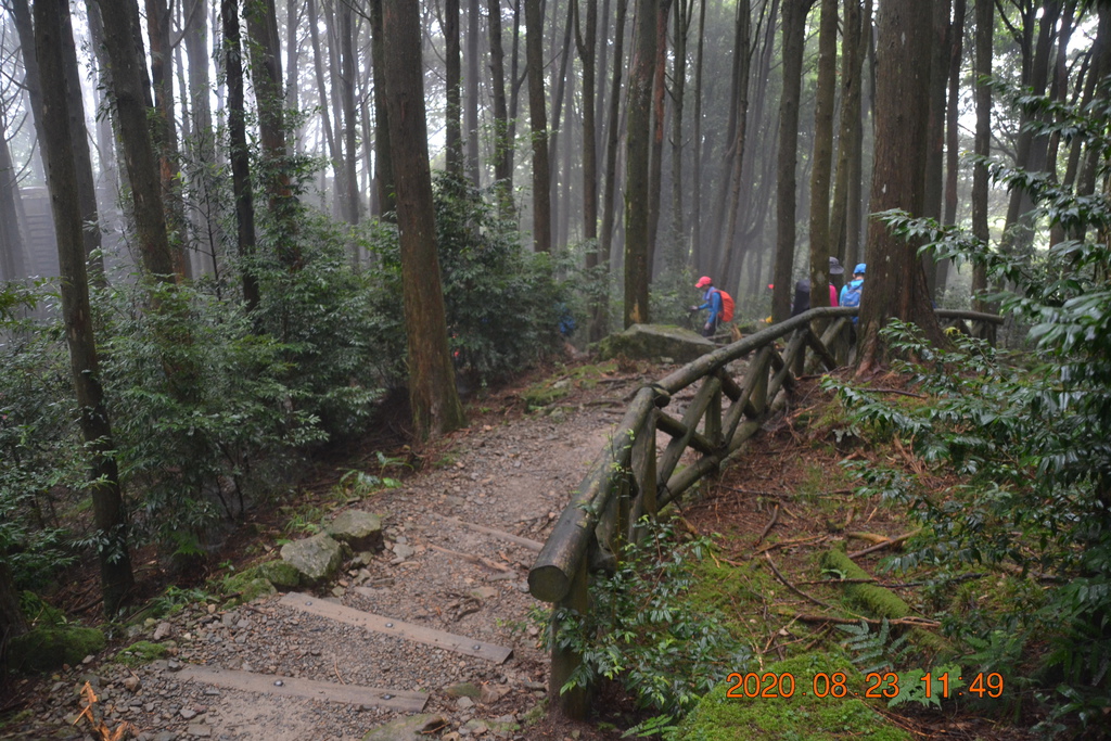 DSC_0136.JPG DSC_0136.JPG