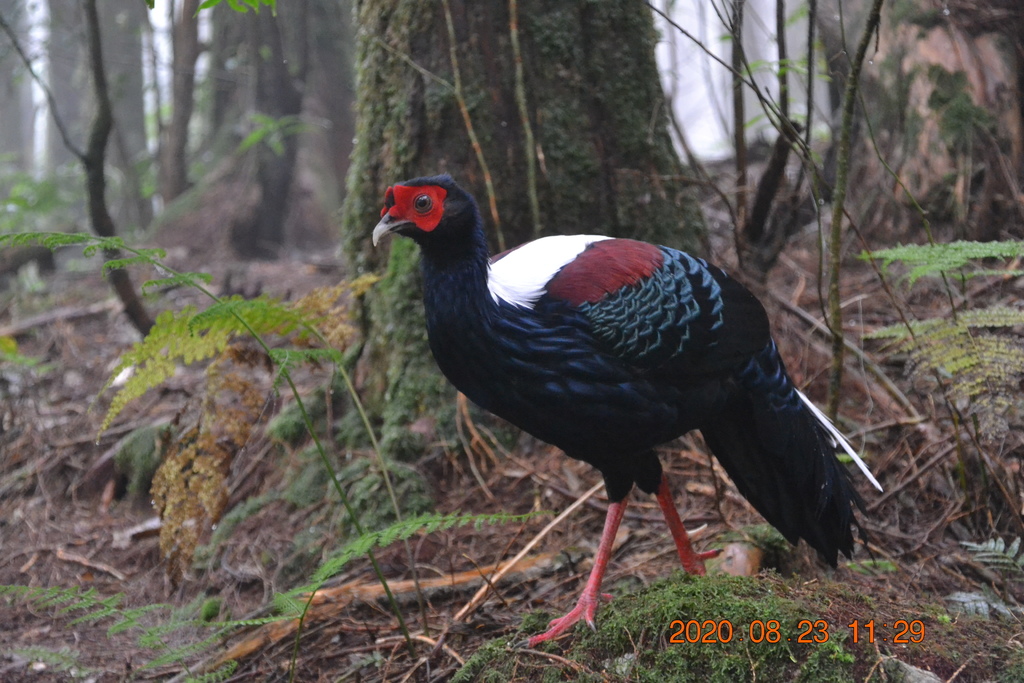 DSC_0113.JPG DSC_0113.JPG