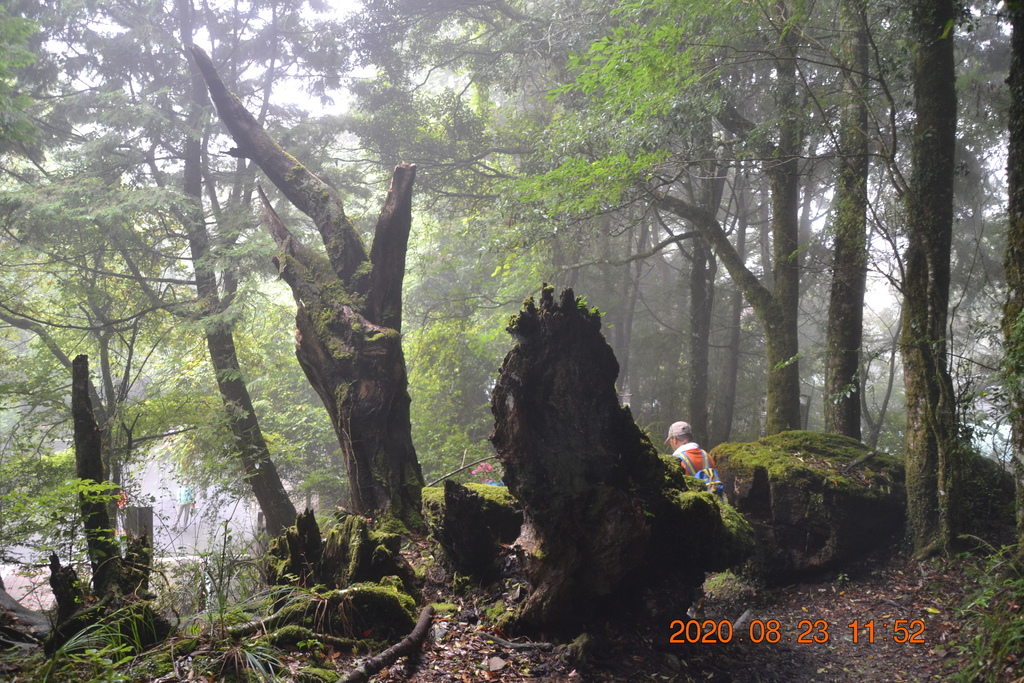 DSC_0139.JPG DSC_0139.JPG