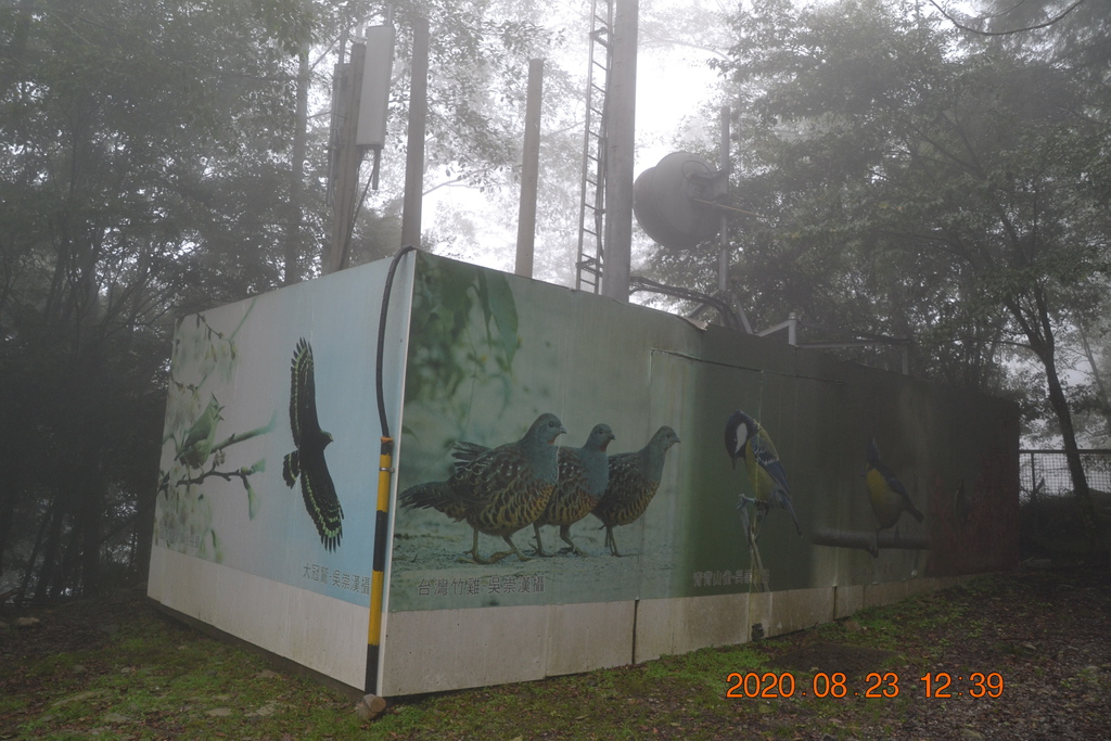 DSC_0151.JPG DSC_0151.JPG