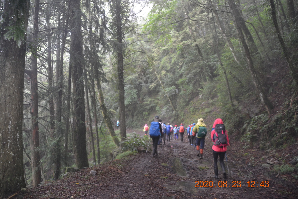 DSC_0156.JPG DSC_0156.JPG