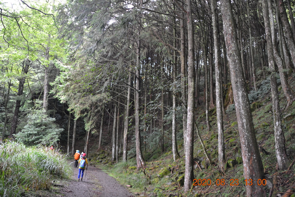 DSC_0159.JPG DSC_0159.JPG