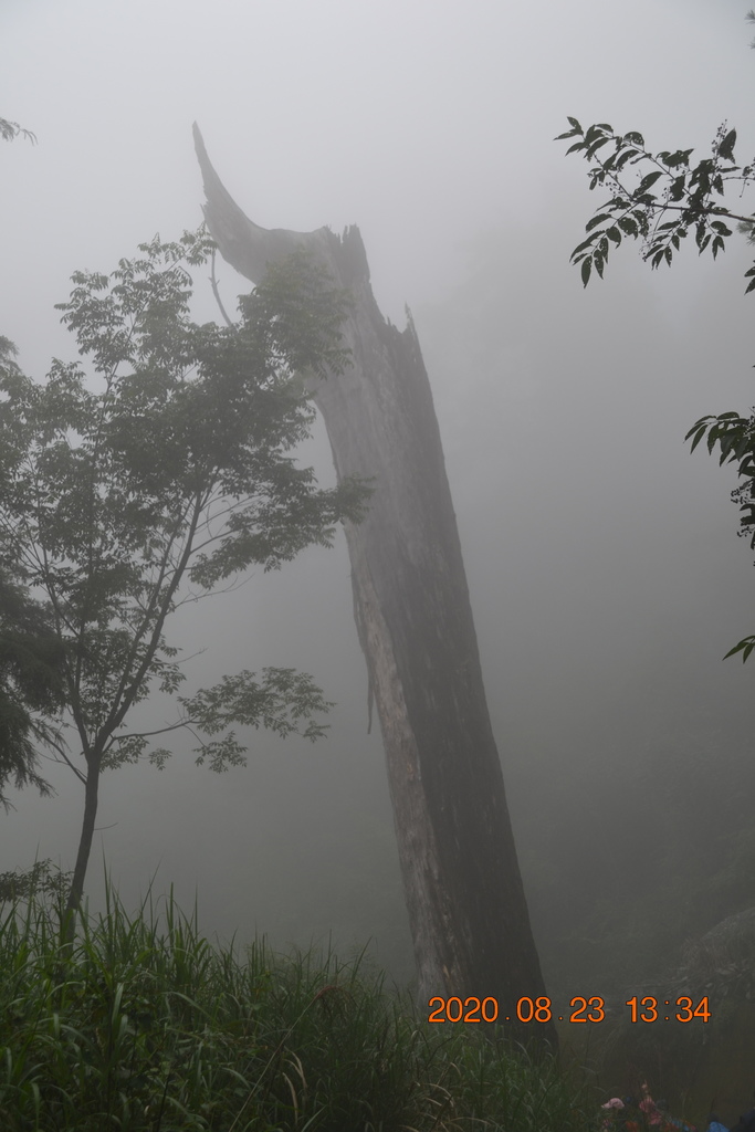 DSC_0172.JPG DSC_0172.JPG