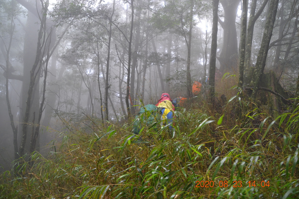 DSC_0184.JPG DSC_0184.JPG