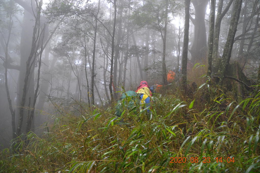 台中大雪山林道烏石坑山、2432峰及船型山