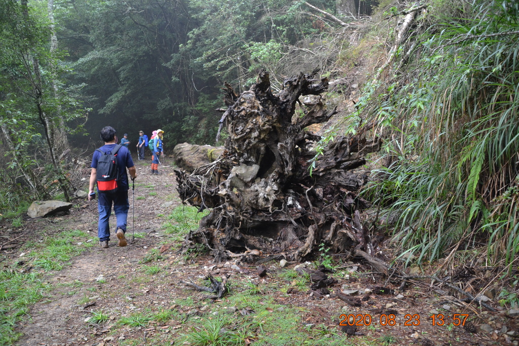 台中大雪山林道烏石坑山、2432峰及船型山