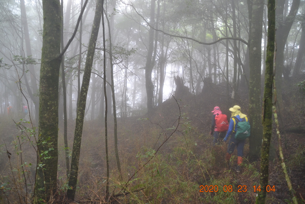 DSC_0185.JPG DSC_0185.JPG