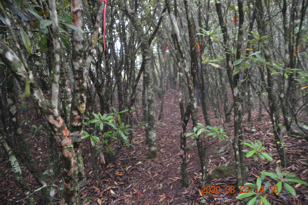 DSC_0186.JPG DSC_0186.JPG