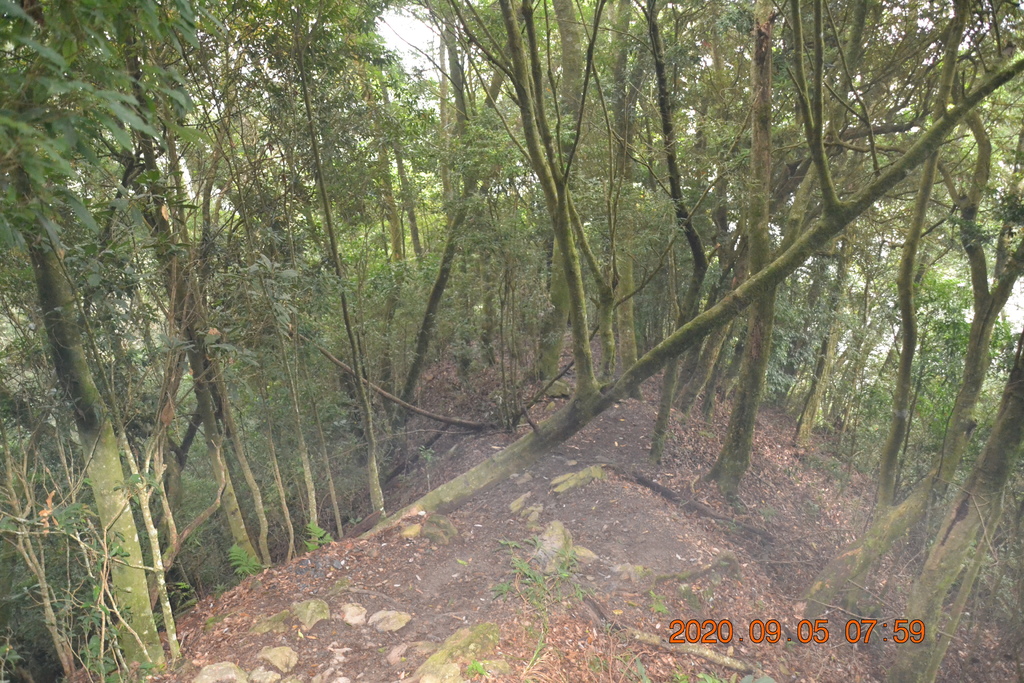DSC_0014.JPG DSC_0014.JPG