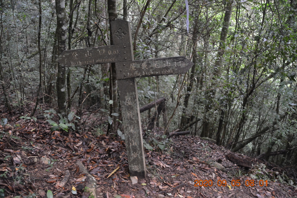 DSC_0015.JPG DSC_0015.JPG