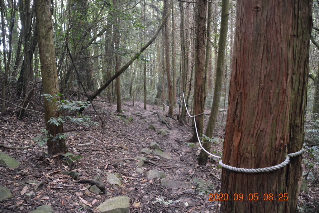 DSC_0027.JPG DSC_0027.JPG