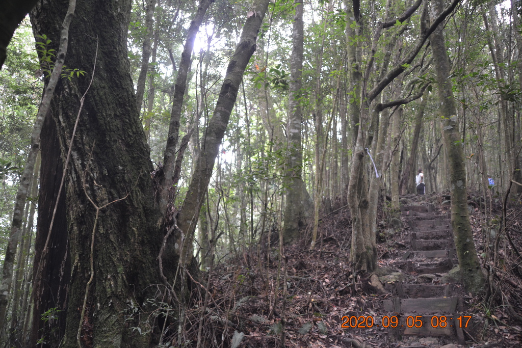 DSC_0022.JPG DSC_0022.JPG