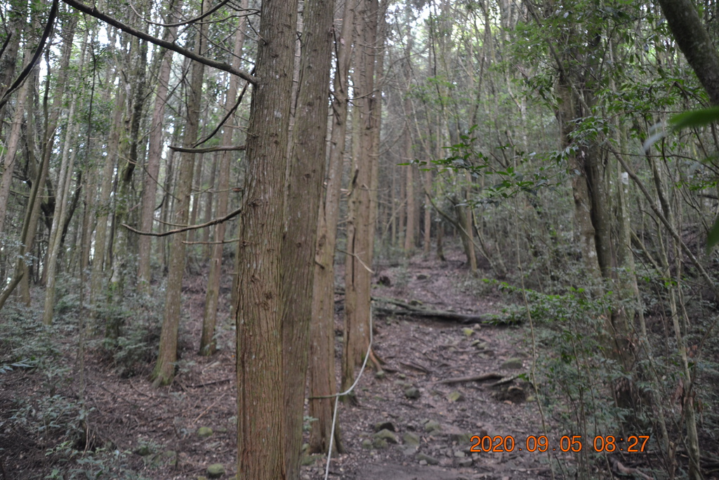 DSC_0028.JPG DSC_0028.JPG