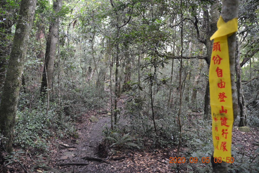 DSC_0044.JPG DSC_0044.JPG