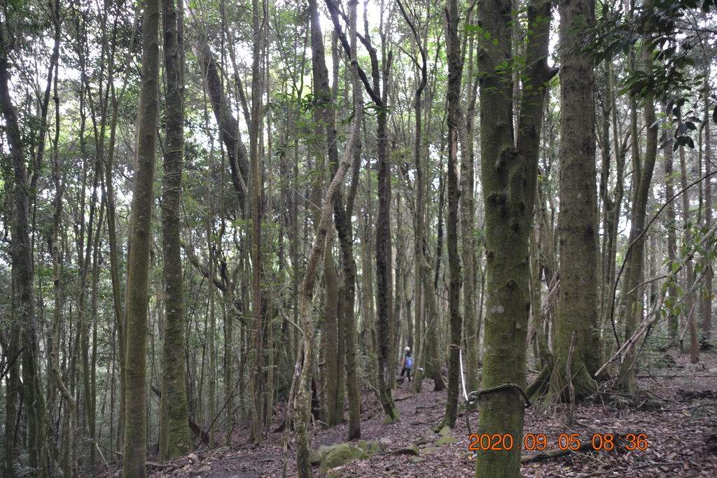 DSC_0035.JPG DSC_0035.JPG