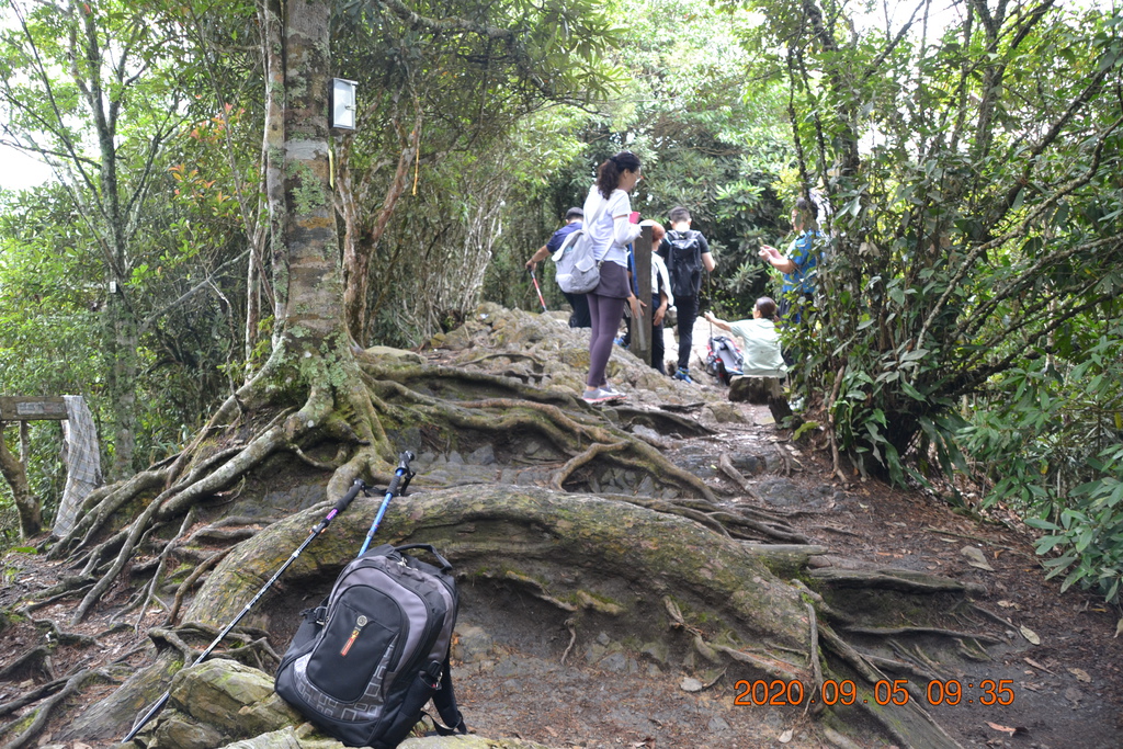 DSC_0071.JPG DSC_0071.JPG
