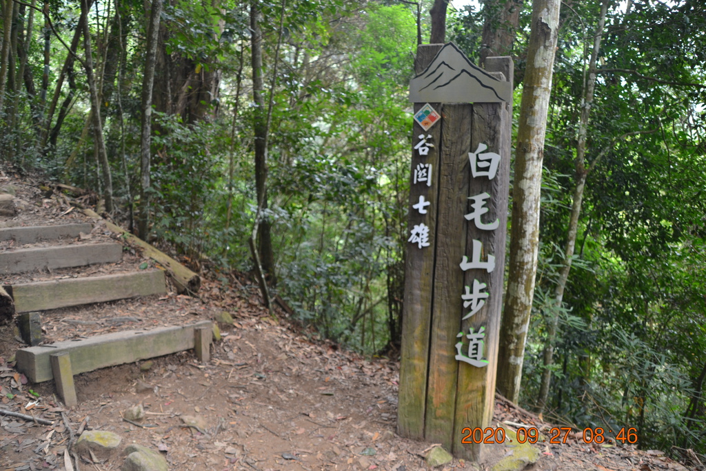 DSC_0061.JPG DSC_0061.JPG