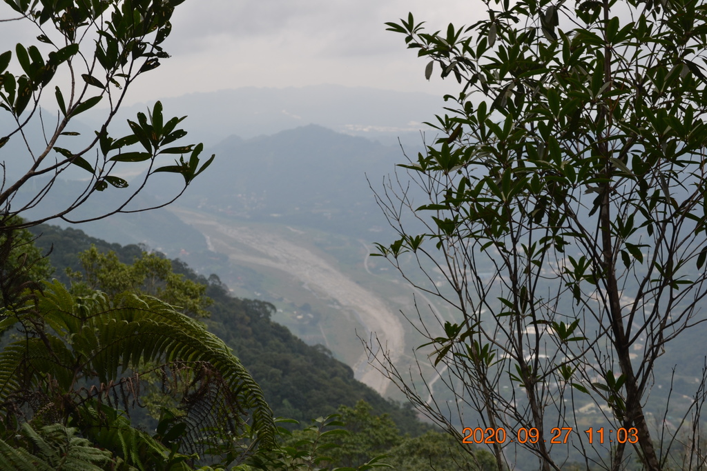 DSC_0103.JPG DSC_0103.JPG