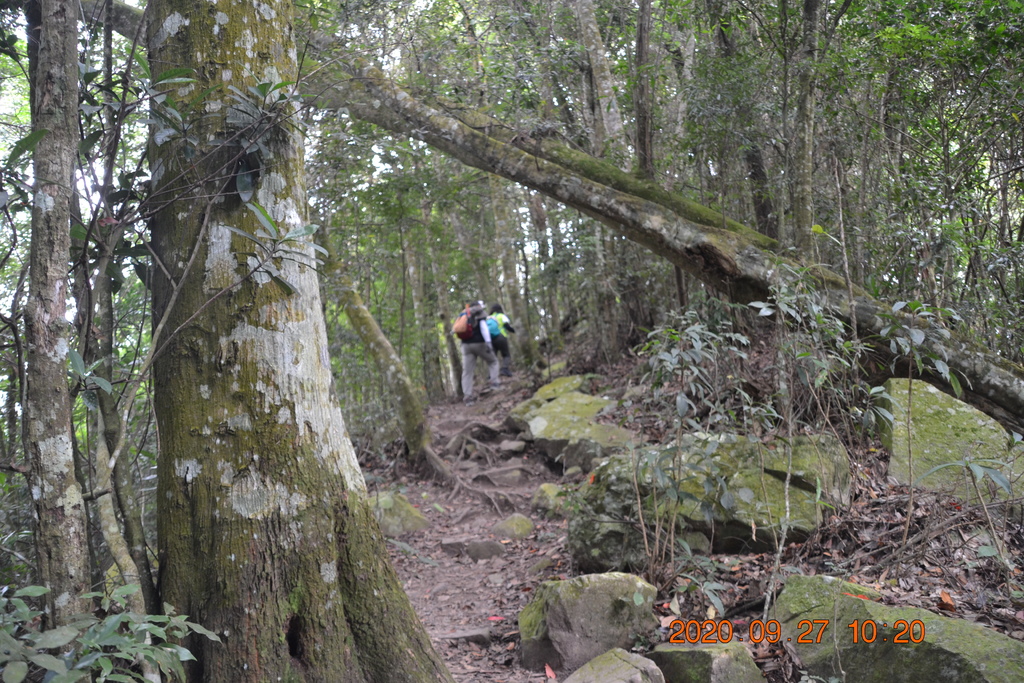 DSC_0086.JPG DSC_0086.JPG