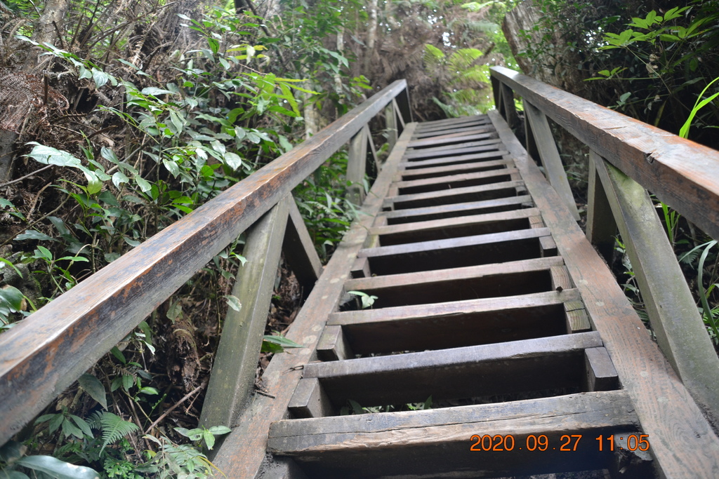 DSC_0104.JPG DSC_0104.JPG