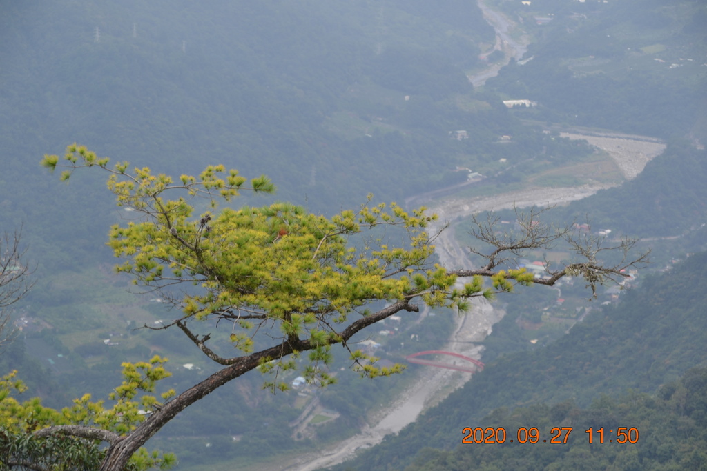 DSC_0132.JPG DSC_0132.JPG