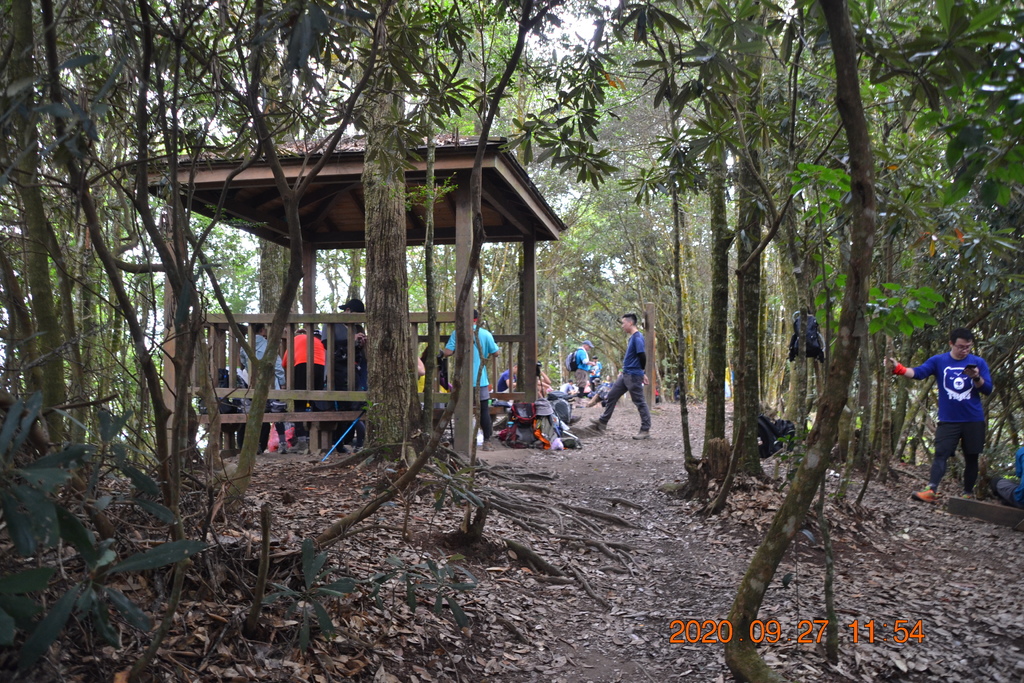 DSC_0136.JPG DSC_0136.JPG