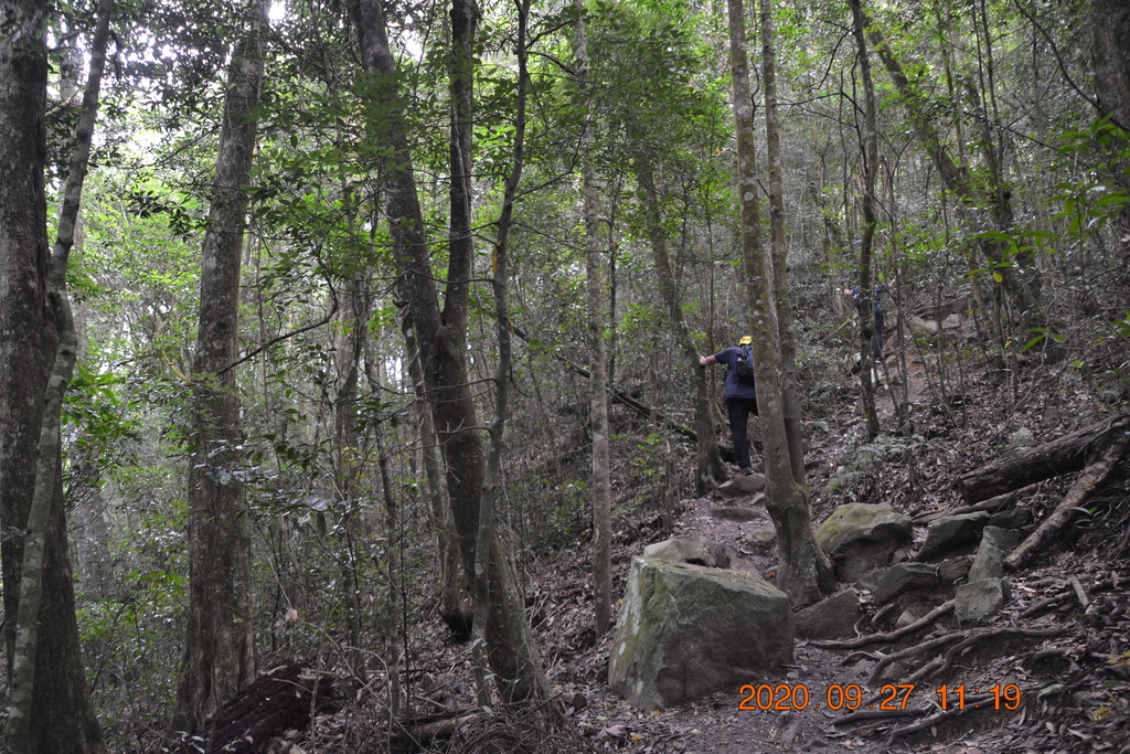 DSC_0111.JPG DSC_0111.JPG