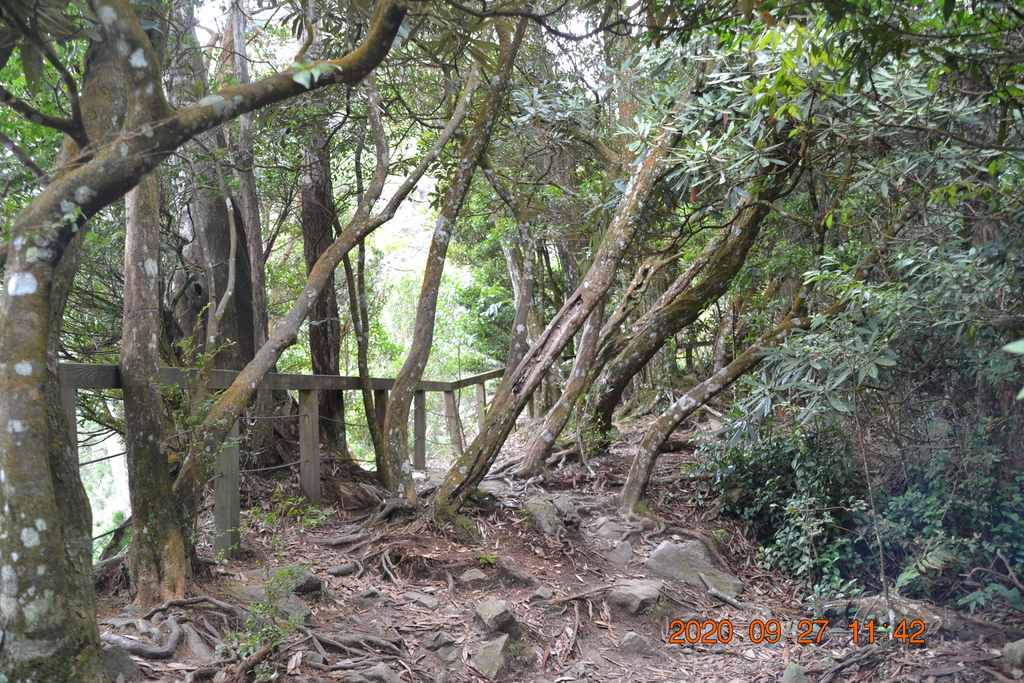 DSC_0123.JPG DSC_0123.JPG