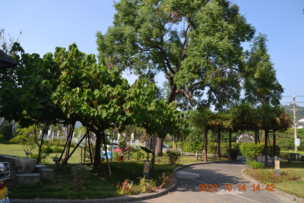 DSC_0268.JPG DSC_0268.JPG