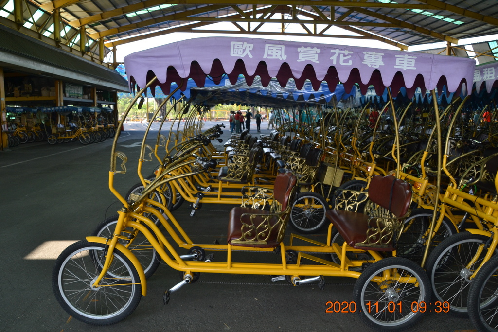 DSC_0065.JPG DSC_0065.JPG