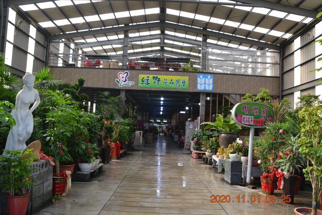 DSC_0053.JPG DSC_0053.JPG