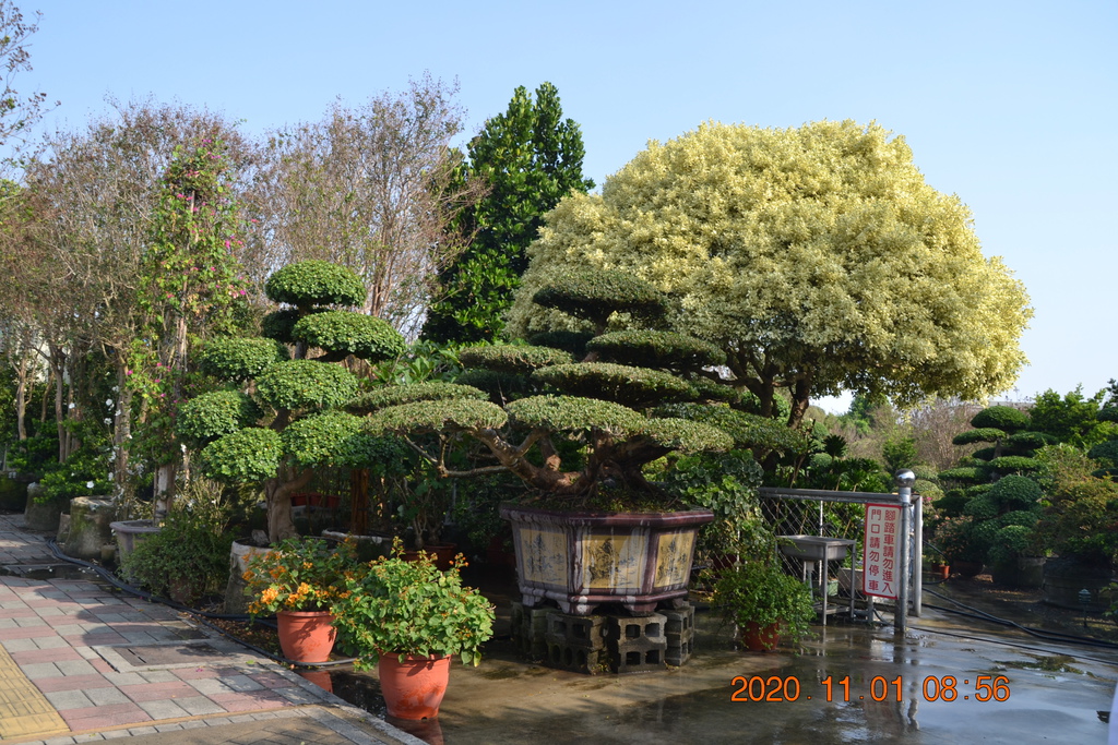DSC_0014.JPG DSC_0014.JPG