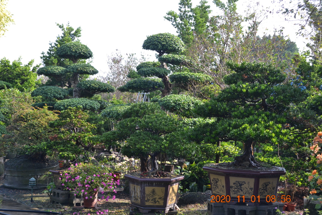 DSC_0015.JPG DSC_0015.JPG