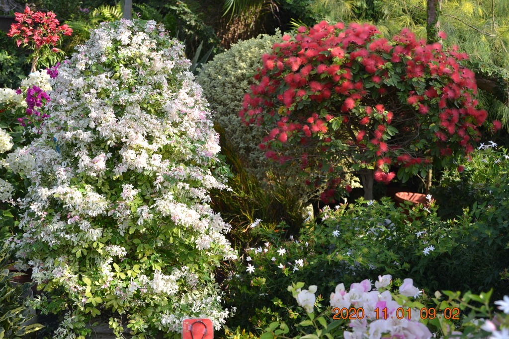 DSC_0025.JPG DSC_0025.JPG
