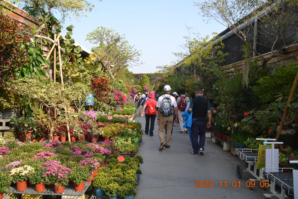 DSC_0029.JPG DSC_0029.JPG