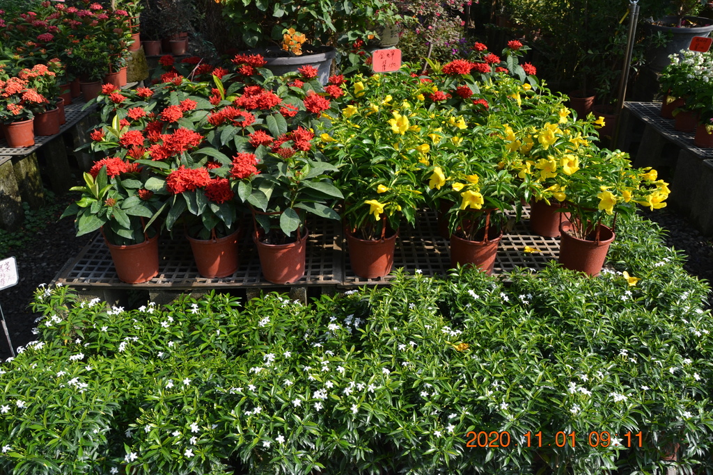 DSC_0038.JPG DSC_0038.JPG