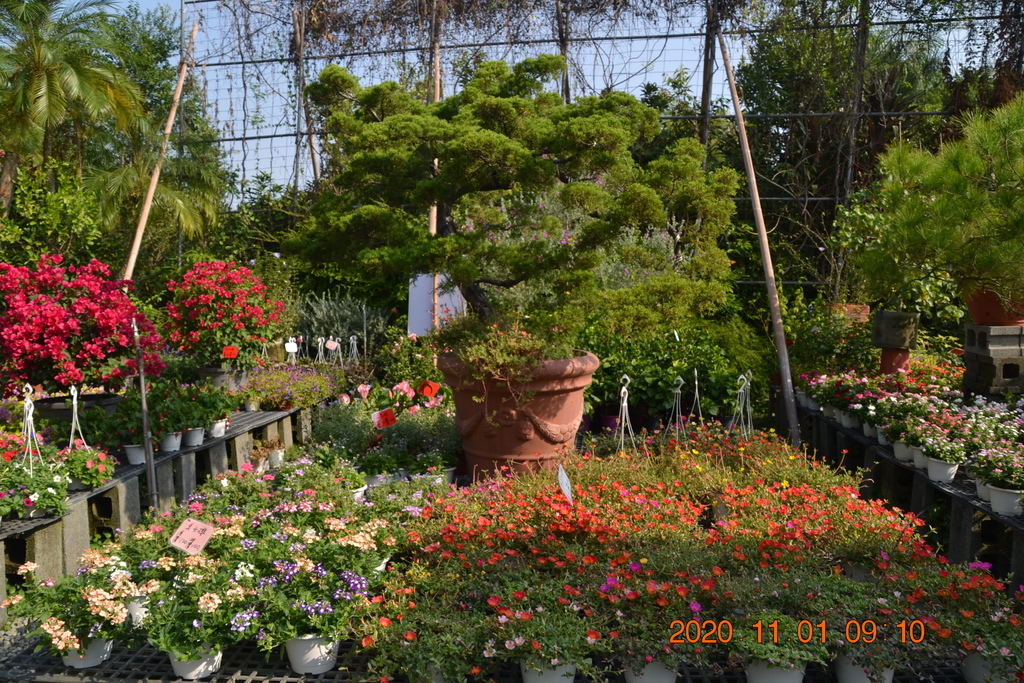 DSC_0037.JPG DSC_0037.JPG
