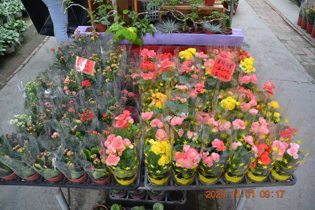 DSC_0045.JPG DSC_0045.JPG