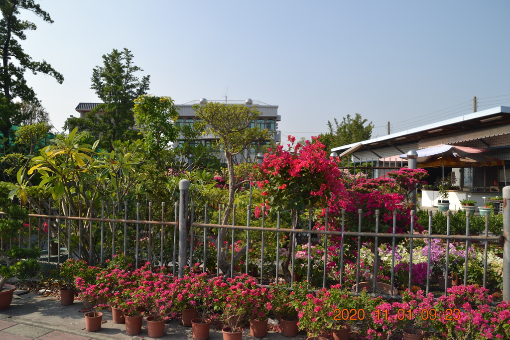 DSC_0050.JPG DSC_0050.JPG