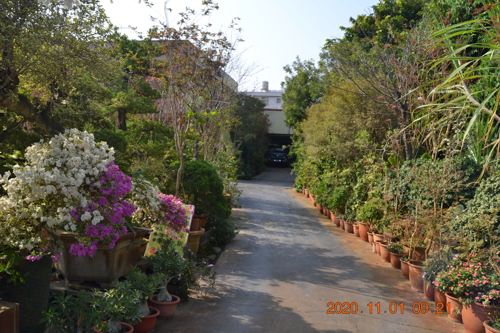 DSC_0048.JPG DSC_0048.JPG