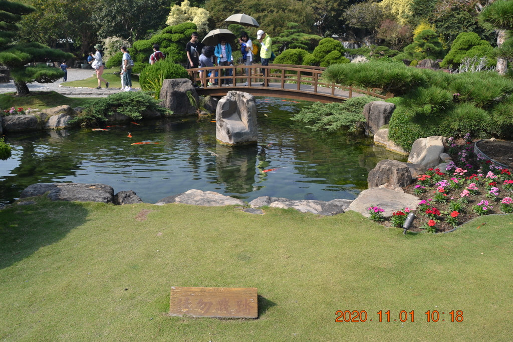 DSC_0098.JPG DSC_0098.JPG