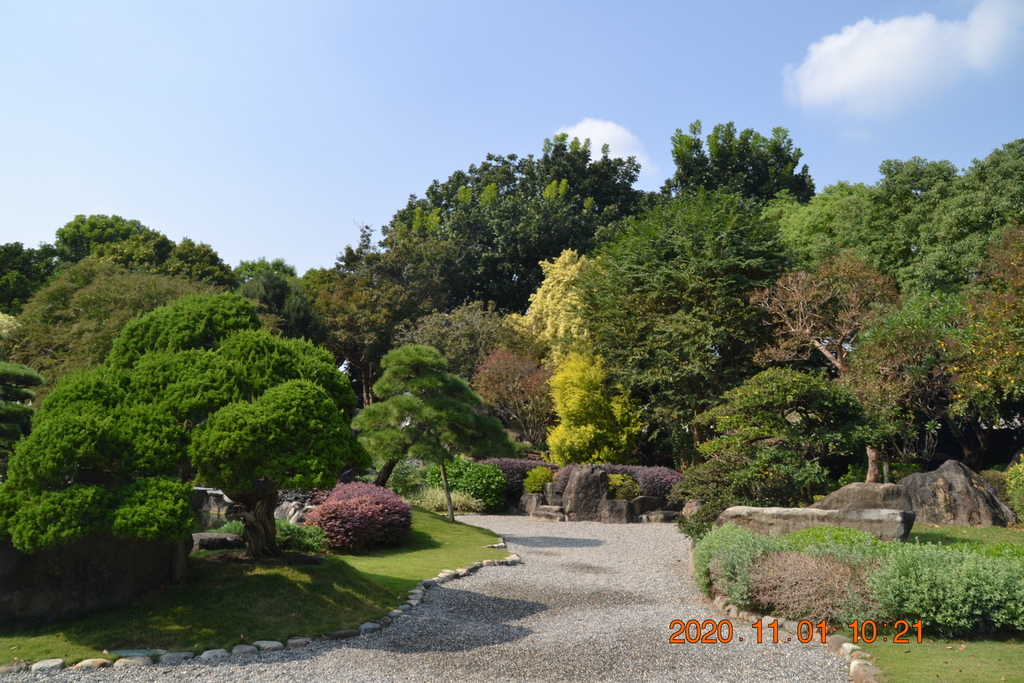 DSC_0107.JPG DSC_0107.JPG