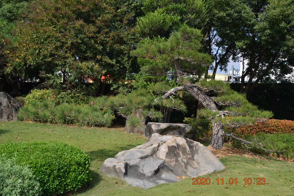 DSC_0110.JPG DSC_0110.JPG
