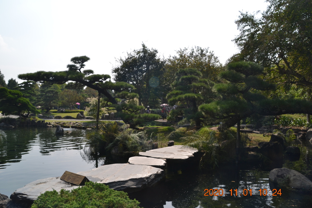 DSC_0113.JPG DSC_0113.JPG