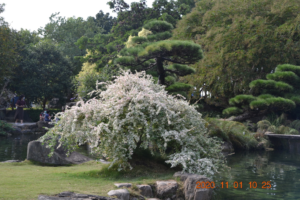 DSC_0114.JPG DSC_0114.JPG