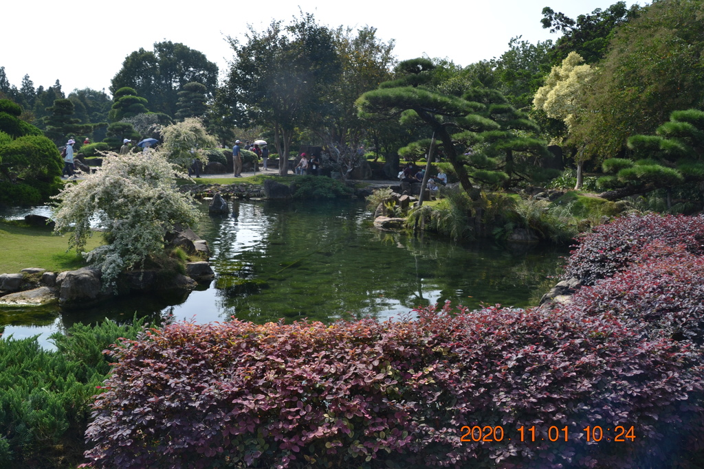 DSC_0111.JPG DSC_0111.JPG