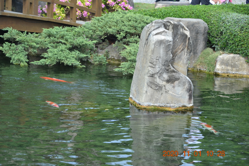 DSC_0119.JPG DSC_0119.JPG