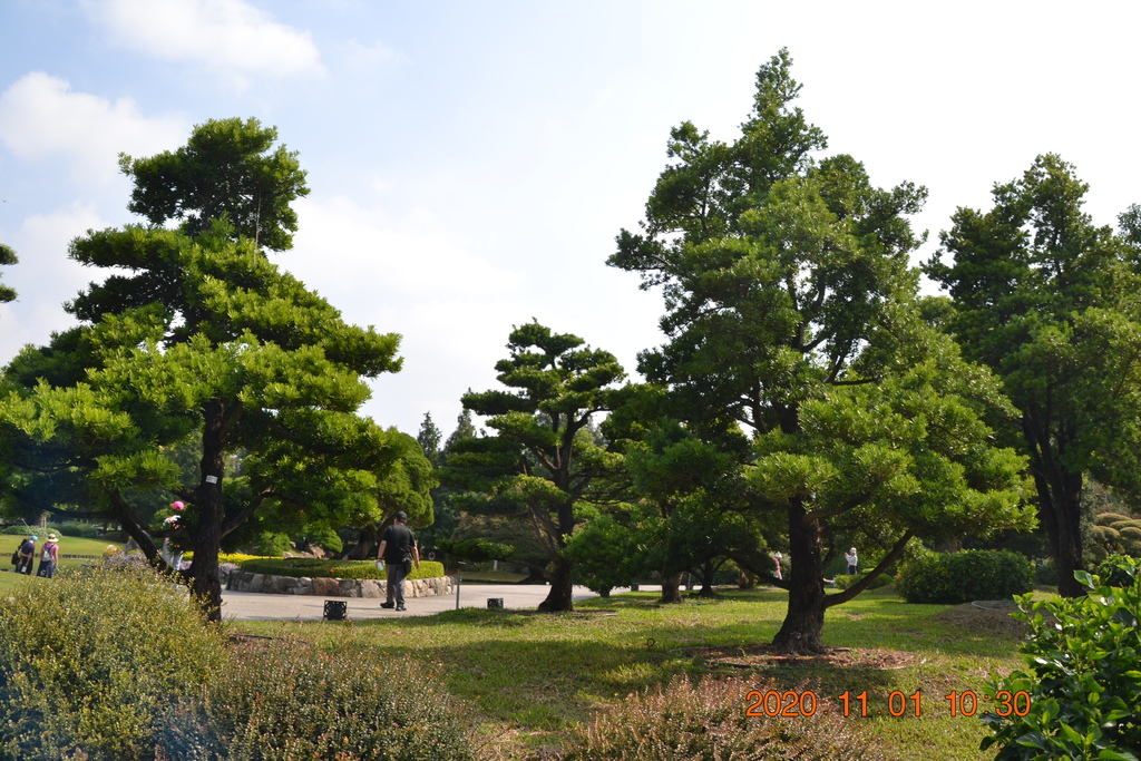 DSC_0124.JPG DSC_0124.JPG