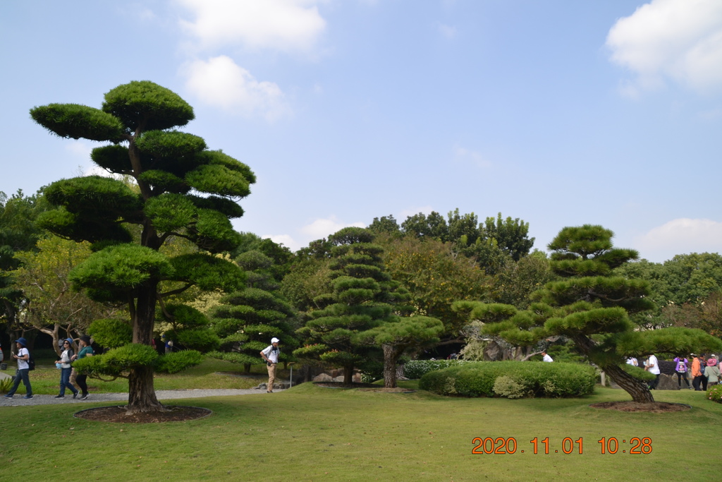 DSC_0121.JPG DSC_0121.JPG